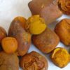 Ox cow gallstones